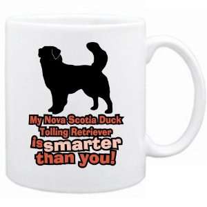   Duck Tolling Retriever Is Smarter Than You !  Mug Dog: Home & Kitchen