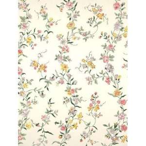   Charlotte   Pinks and Yellows On Cream Wallpaper: Home Improvement