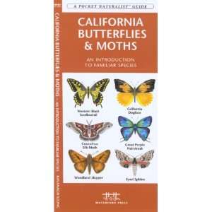    Waterford California Butterflies & Moths: Patio, Lawn & Garden