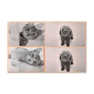 Lenticular Dog Placemats (Set of 4):  Kitchen & Dining