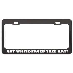 Got White Faced Tree Rat? Animals Pets Black Metal License Plate Frame 