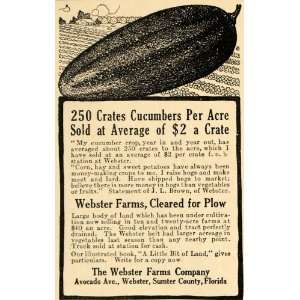  1916 Ad Webster Farms Sell FL Acreage Grow Cucumber WWI 