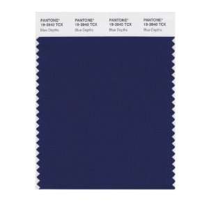   SMART 19 3940X Color Swatch Card, Blue Depths: Home Improvement