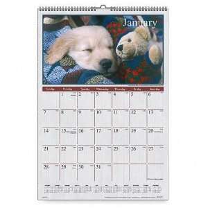   Monthly Wall Calendar,1 Year, Puppy Images,15 1/2x22 3/4: Electronics