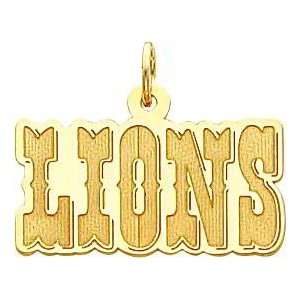  14K Gold NFL Detroit Lions Charm: Sports & Outdoors