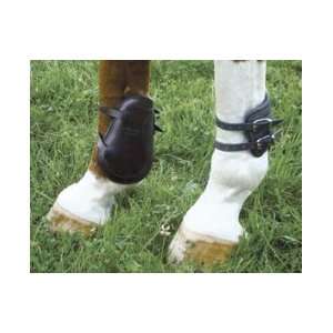  Amerigo Professional Hind Fetlock Boots: Sports & Outdoors