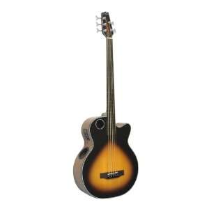  Boulder Creek Acoustic/Electric 5 String Fretless Bass 