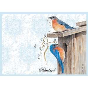   : Wellspring Note Card, Toile Birds Bluebird (6693): Office Products