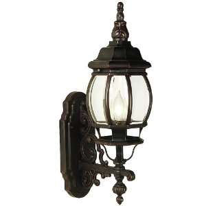  Nostalgia™ French 21 1/2 High Outdoor Wall Light: Home 