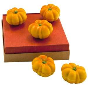 Xan Confections Pumpkin LadybuG Truffle, 2.68 Ounce  