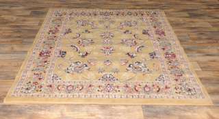 Persian Dark Beige 82x910 Area Rug Carpet (AREA SIZE 8X10) FREE 