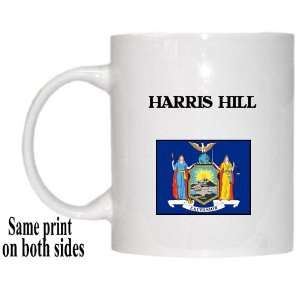  US State Flag   HARRIS HILL, New York (NY) Mug: Everything 