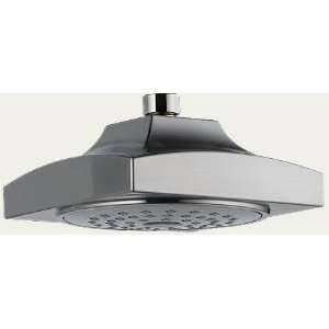  Delta Faucet Touch Clean Showerhead RP49760SS: Home 