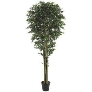  Pack of 2 Decorative Ficus Trees with Round Pots 7 Home 