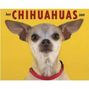  Just Chihuahuas 2009 Calendar From Willow Creek