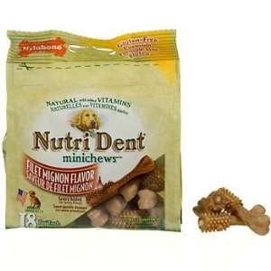  Nylabone Mini Nutri Dent Filet Mignon Edible Dental Dog 