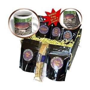 Mushrooms   Mushroom   Coffee Gift Baskets   Coffee Gift Basket 