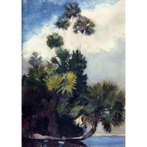  Oil Painting Palm Trees, Florida Winslow Homer Hand 