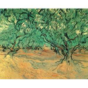  Oil Painting: Olive Trees: Vincent van Gogh Hand Painted 