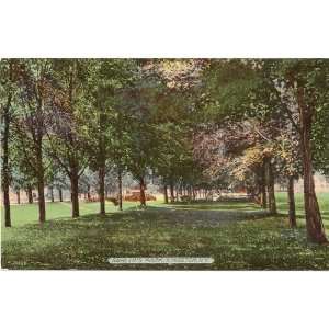 1910 Vintage Postcard Sahlers Park Kingston New York