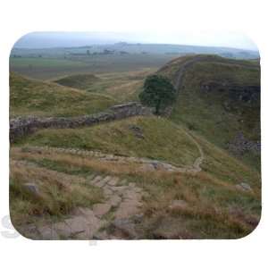  Robin Hood Tree, Hadrians Wall Mouse Pad: Everything Else