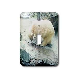  Renderly Yours Bears   Cute Polar Bear Cub Playing   Light 