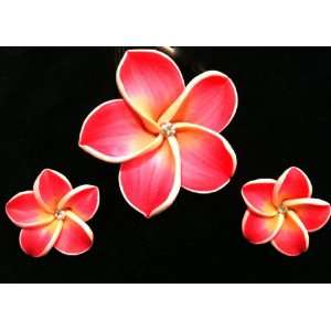   Hawaiian Plumeria Ponytail Holder & Earring Set Pink: Everything Else