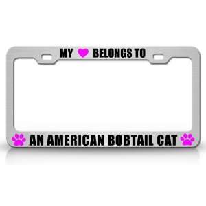  MY HEART BELONGS TO AN AMERICAN BOBTAIL Cat Pet Steel 