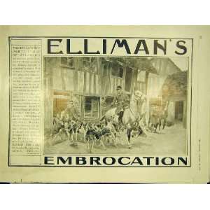  EllimanS Embrocation Advert Hunt Hounds Horse 1913