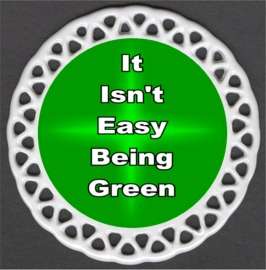   Isnt Easy Being Green Porcelain Christmas Ornament Scout Girl Recycle