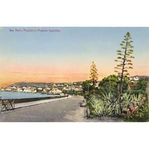 1910 Vintage Postcard Passeggiata Federico Guglielmo San Remo Italy