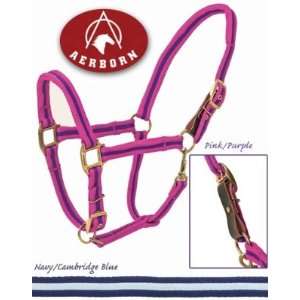 Aerborn Cushion Web Halter with Breakaway Fuse Pink/Purple, Oversize 