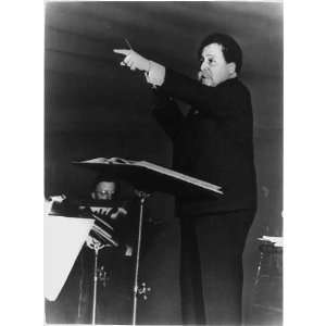   conducting symphony,orchestra conductor,born in Paris
