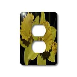WhiteOak Photography Daffodils   Yellow Daffodil   Light Switch Covers 