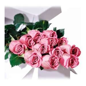  200 Premium Long Stem Roses Pink Patio, Lawn & Garden
