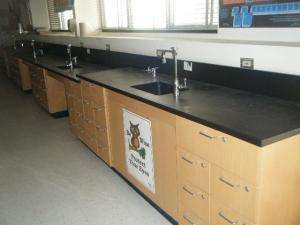 Cabinets from Science/Chemistry Lab Classroom Uppers/Lowers 803  