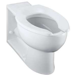  Anglesley Elongated Toilet Bowl with Rear Spud Finish 