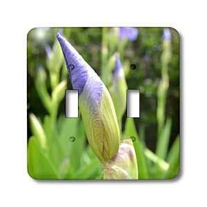  Patricia Sanders Flowers   purple iris bud   Light Switch 