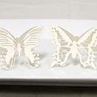 laser expressions butterfly folded place card size 3 25 x 5 h unfolded