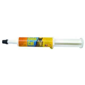    Finish Line Horse Products Quia Cal (Syringe): Sports & Outdoors