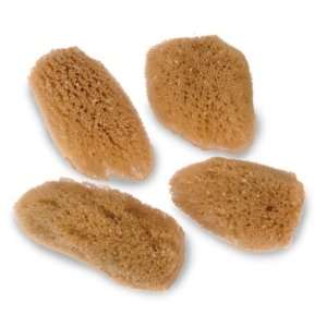  URBAN SPA by Urban Spa FACIAL SEA SPONGES Beauty