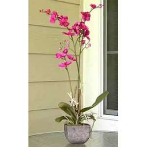  Phalaenopsis Orchid Floral Arrangements [48034057]