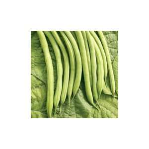 Palermo Bean   50 lb.  Grocery & Gourmet Food