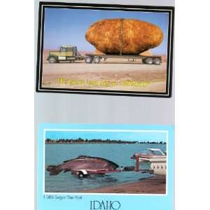 BIG Idaho Post Cards: IDAHO, A LITTLE LARGER THAN MOST (B14562/Mike 