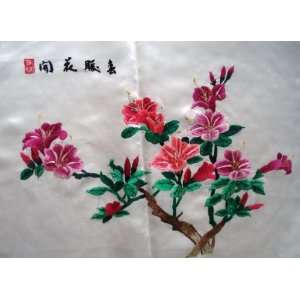    Chinese Hunan Silk Embroidery Picture Flower: Everything Else