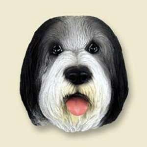  Bearded Collie Dog Head Magnet (2 in): Pet Supplies