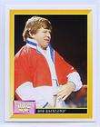 1993 Merlin WWF Stickers #15 Bob Backlund