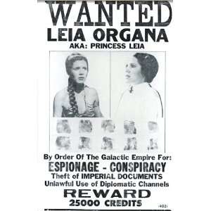 Wanted Leia Organa AKA Princess Leia 14 X 22 Vintage Style Concert 