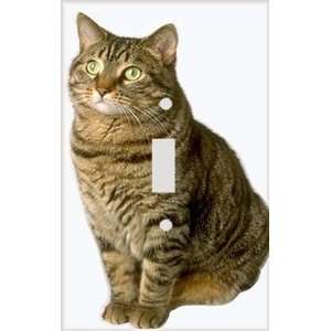  Tom Tabby Cat Decorative Switchplate Cover: Home 