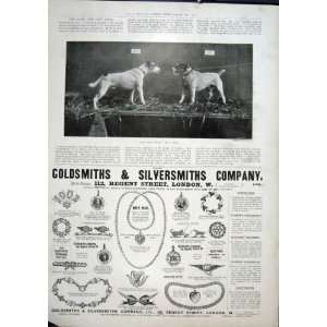  Dogs Fight Words Reid Fine Art 1901 Advert Jewellery: Home 